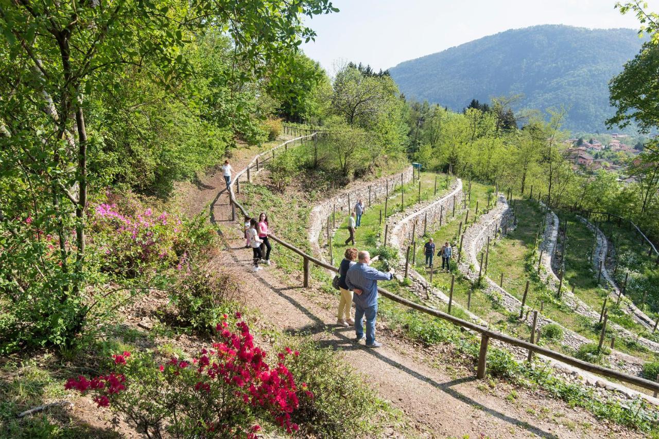 Agriturismo Al Motto Villa Cambiasca Exterior photo